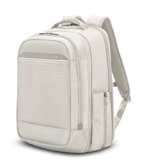 Samsonite Paralux 2 in 1 Travel Backpack