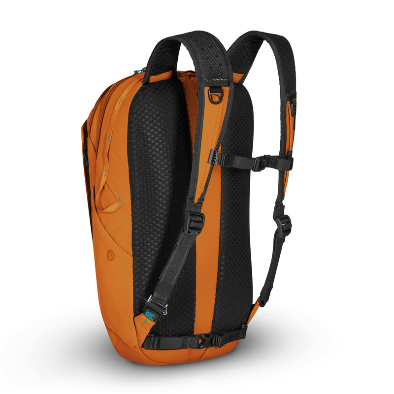 {{ backpack }} {{ anSport City View Remix (City Scout) Backpack SuccessActive }} - Luggage CityPacsafe {{ black }}